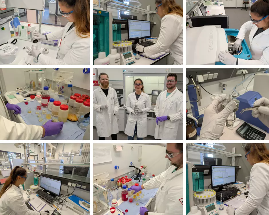 Collage photos laboratoire Marl